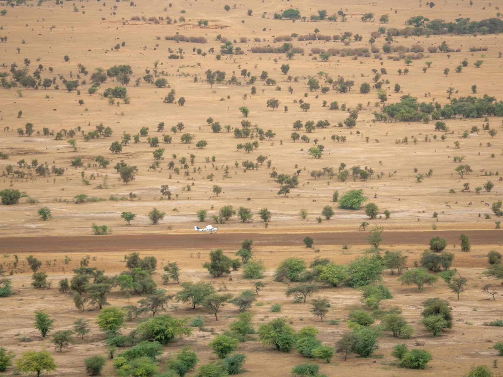 Tour Aérien du Sénégal — photo 18